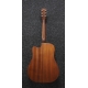 IBANEZ PF10CE Open Pore Natural