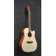 IBANEZ PF10CE Open Pore Natural