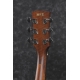 IBANEZ PF10CE Open Pore Natural