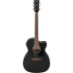 IBANEZ PC14MHCE Weathered Black