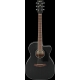 IBANEZ PC14MHCE Weathered Black