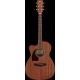 IBANEZ PC12MHLCE Open Pore Natural
