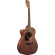 IBANEZ PC12MHLCE Open Pore Natural