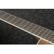 IBANEZ AE245JR Open Pore Natural