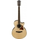IBANEZ AE205JR Open Pore Natural