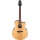 IBANEZ PA230E Natural Satin Top, Natural Low Gloss Back and Sides