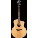 IBANEZ PA230E Natural Satin Top, Natural Low Gloss Back and Sides