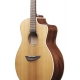 IBANEZ PA230E Natural Satin Top, Natural Low Gloss Back and Sides