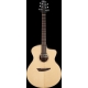 IBANEZ PA300E Natural Satin Top, Natural Low Gloss Back and Sides