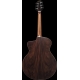IBANEZ PA300E Natural Satin Top, Natural Low Gloss Back and Sides