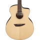 IBANEZ PA300E Natural Satin Top, Natural Low Gloss Back and Sides