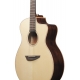 IBANEZ PA300E Natural Satin Top, Natural Low Gloss Back and Sides