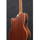 IBANEZ TCY12E Open Pore Natural
