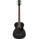 IBANEZ PCBE14MH Weathered Black