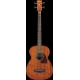 IBANEZ PCBE12MH Open Pore Natural