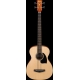 IBANEZ PCBE12 Open Pore Natural