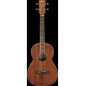 IBANEZ PNB14E Open Pore Natural