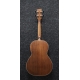 IBANEZ PNB14E Open Pore Natural