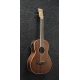 IBANEZ PNB14E Open Pore Natural