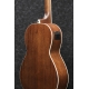 IBANEZ PNB14E Open Pore Natural