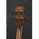 IBANEZ PNB14E Open Pore Natural