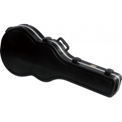 IBANEZ Guitar Case