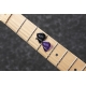IBANEZ JTC + Ibanez THE PLAYERS PICK Mixed (Amethyst, Onyx)