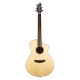 BREEDLOVE PREMIER CONCERT CE EPICEA