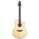BREEDLOVE PURSUIT CONCERT 12C CW LRBAGGS