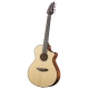 BREEDLOVE PURSUIT CONCERT 12C CW LRBAGGS