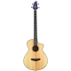 BREEDLOVE PURSUIT CONCERT BASSE CE LR B.