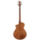 BREEDLOVE PURSUIT CONCERT BASSE CW FISH