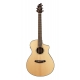 BREEDLOVE PURSUIT CONCERT CW FISHMAN