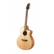 BREEDLOVE PURSUIT CONCERT CW FISHMAN