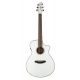 BREEDLOVE PURSUIT CONCERT WH FISHMAN USB