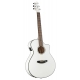 BREEDLOVE PURSUIT CONCERT WH FISHMAN USB