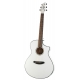 BREEDLOVE PURSUIT CONCERT WH FISHMAN USB