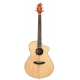 BREEDLOVE PURSUIT EX CONCERT CW FISHMAN