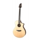 BREEDLOVE PURSUIT EX CONCERT CW FISHMAN