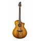 BREEDLOVE PURSUIT EXOTIC CONCERT CE