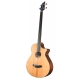 BREEDLOVE SOLO BASSE FRETLESS JUMBO CE