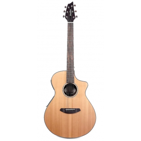 BREEDLOVE SOLO CONCERT CE