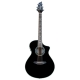 BREEDLOVE STAGE CONCERT BK MG NOIR