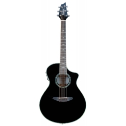 BREEDLOVE STAGE CONCERT BK MG NOIR