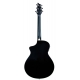 BREEDLOVE STAGE CONCERT BK MG NOIR