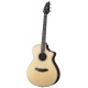 BREEDLOVE STAGE CONCERT CE EPICEA