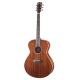 BREEDLOVE STAGE CONCERTO E ACAJOU