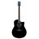 BREEDLOVE STAGE DREADNOUGHT BK MG NOIR