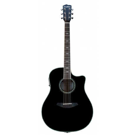 BREEDLOVE STAGE DREADNOUGHT BK MG NOIR