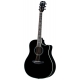 BREEDLOVE STAGE DREADNOUGHT BK MG NOIR